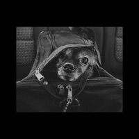 Famous - Single - bennix