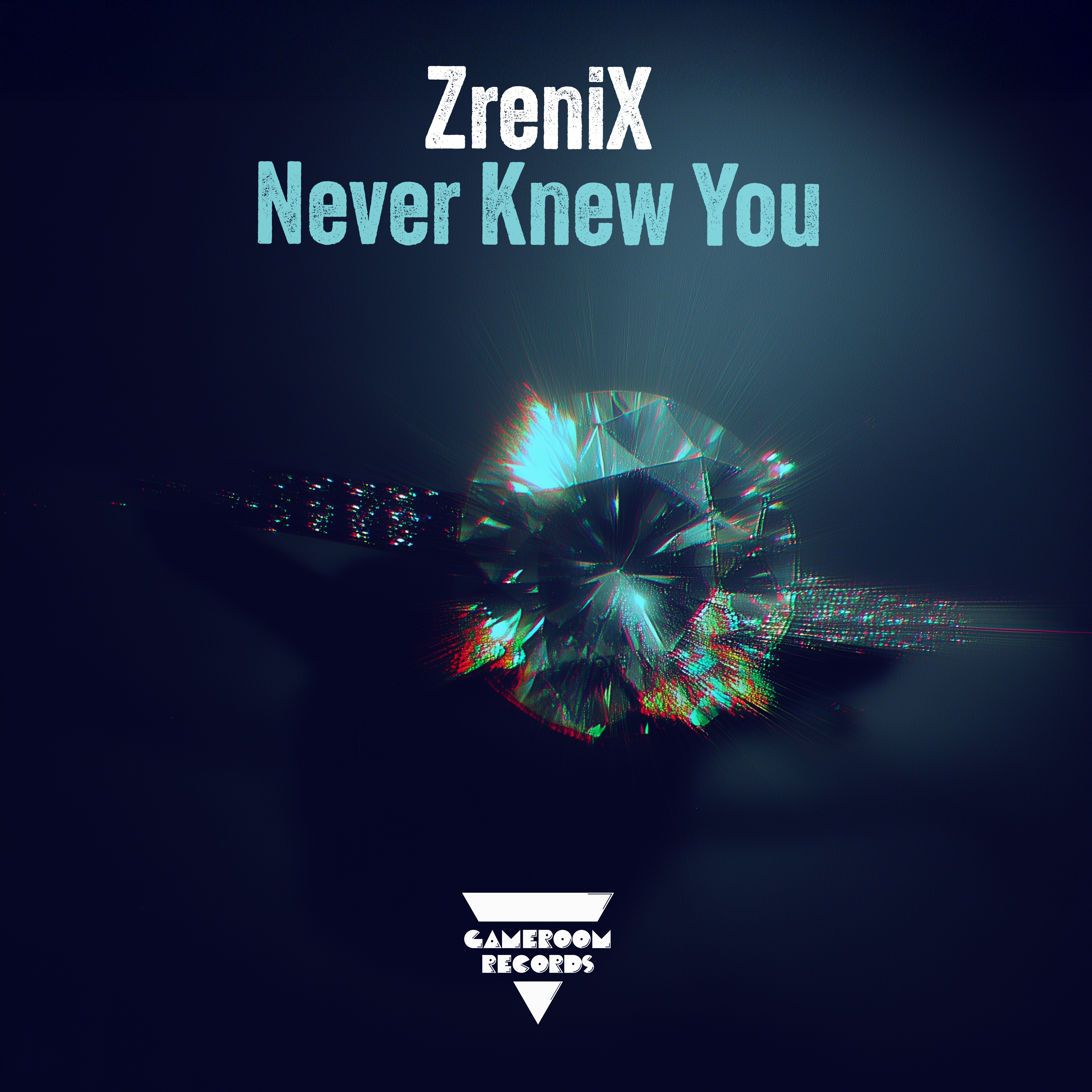 Never Knew You - Single