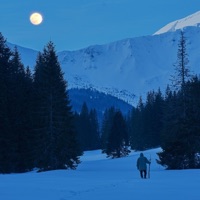 OBOK TY - Single - Lanek