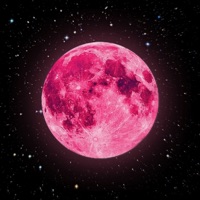 Pink Moon - Single - LIPE