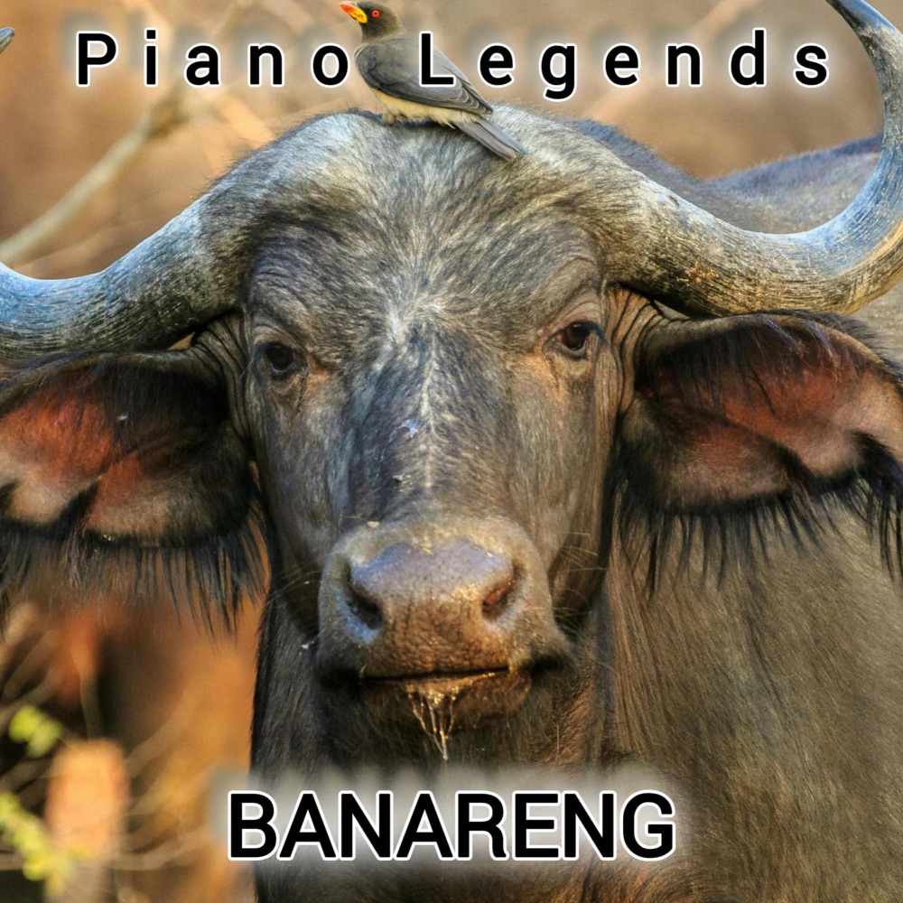Обложка альбома «Banareng - Single» — Piano Legends
