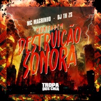 Montagem Destruição Sonora - Single - Mc Magrinho, DJ TH ZS & Tropa dos Cria