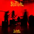The Wytches