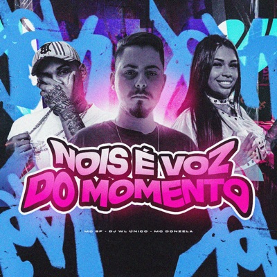 NOIS É VOZ DO MOMENTO - Single