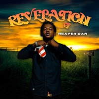 Out Of Time (Remix) [fingerz Remix] - Single - Reaper Dan