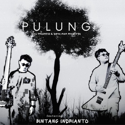 Pulung (feat. Bintang Indrianto) - Single