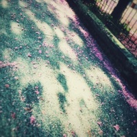 violet _ valentines - Single - rosary166