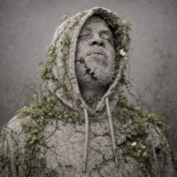 Sedilaka - Credo V Daniels Cover Art