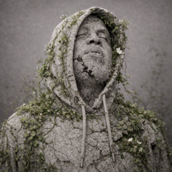 Still Where We Were - Credo V Daniels Cover Art