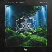 album