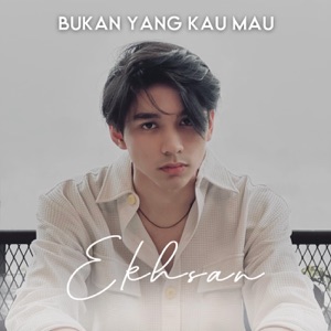 Bukan Yang Kau Mau (SpeedUp) - Single