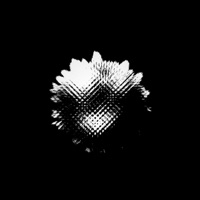 up now (feat. Brin Taylor) - Single - Audiodrugz