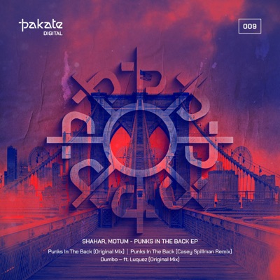 Punks in the Back - Single