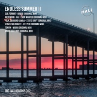 Endless Summer Vol II - dub.format