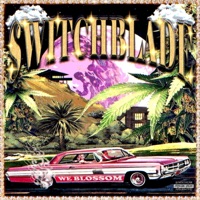 WE BLOSSOM - Single - $witchblade