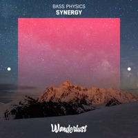Synergy - Single - Bass Physics