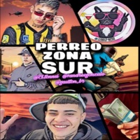 PERREO ZONA SUR (feat. TONSI, EL BRG & GASTON BR) - Single - JuancaRMX