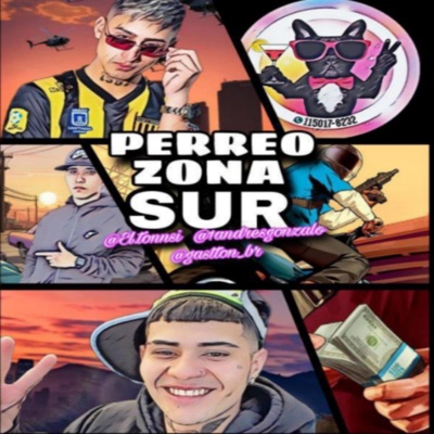 PERREO ZONA SUR (feat. TONSI, EL BRG & GASTON BR) - Single