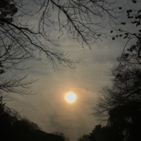 I know enough - Single - butifulmonster