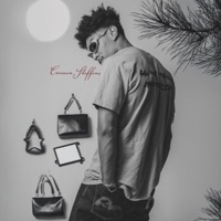 Carmen Steffens (feat. M2K & Antunix) - Single - Jan