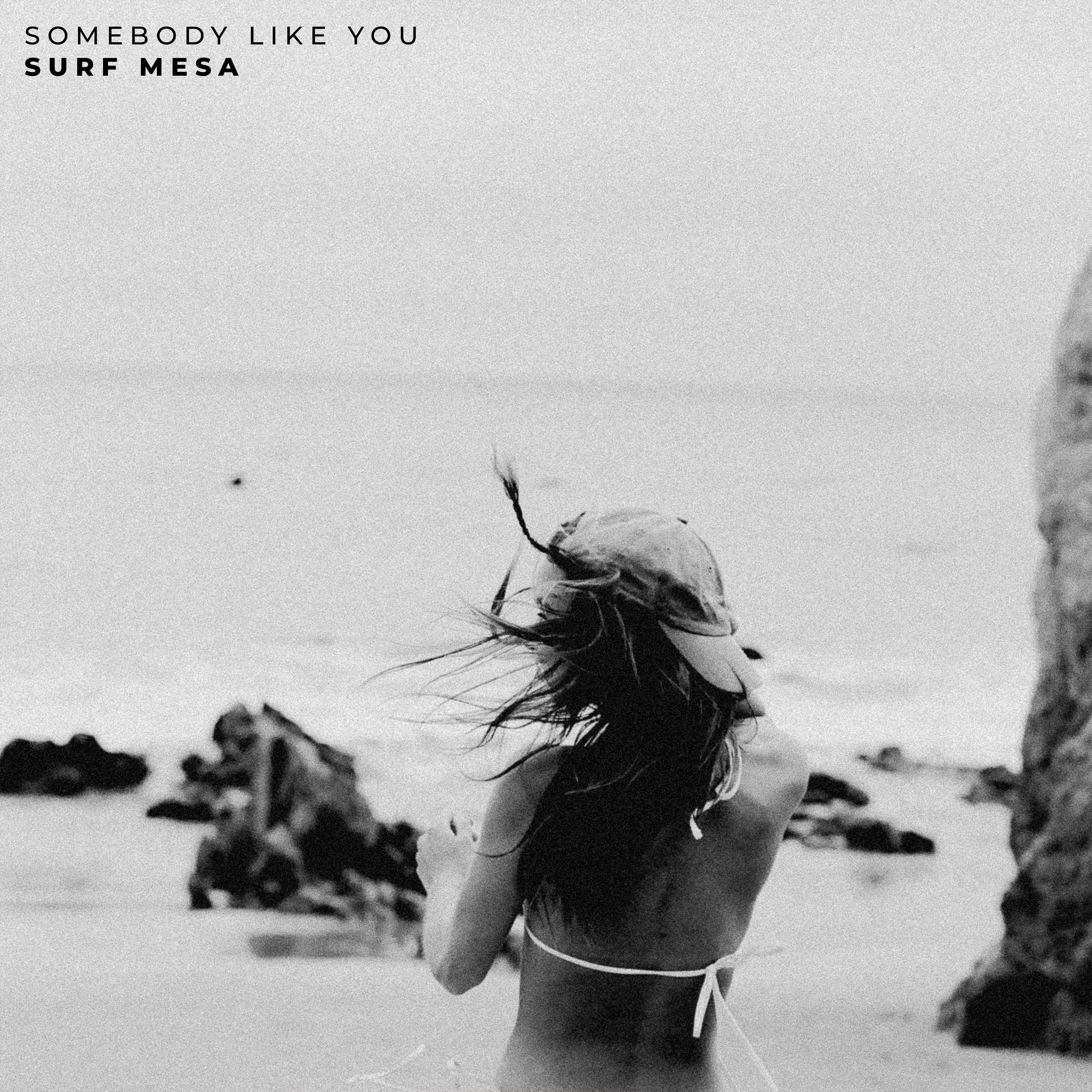 Surf Mesa - Somebody Like You