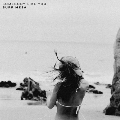 Somebody Like You - Single