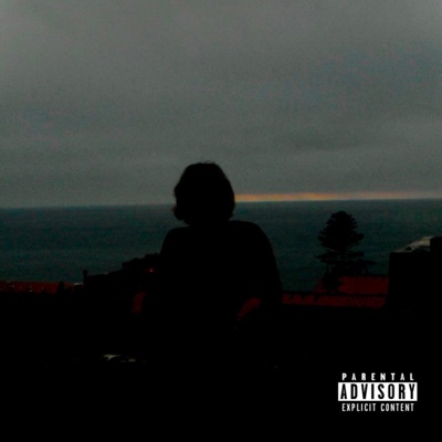 Shake N Bake - Single