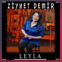 Leyla - Single - Ziynet Demir
