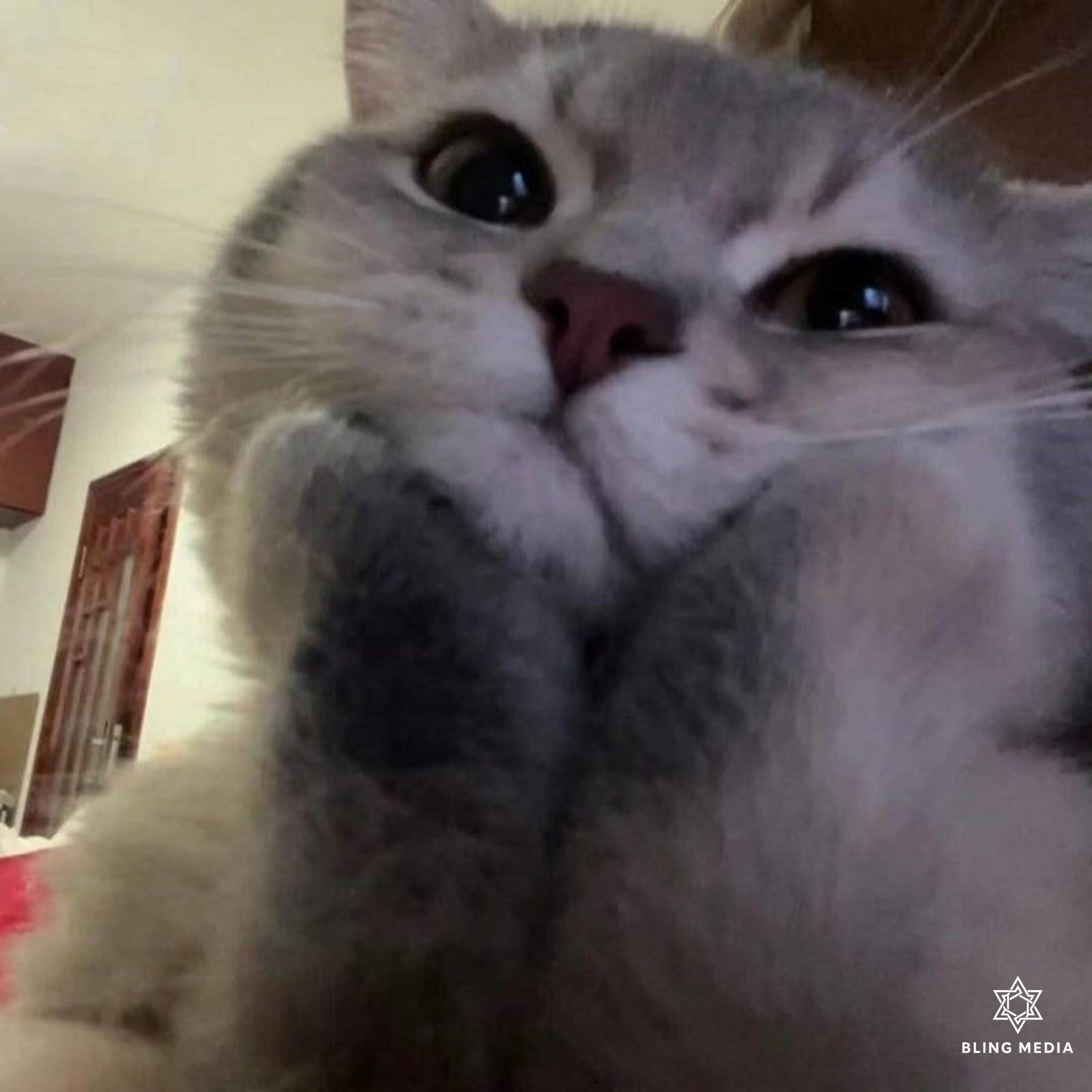 armandolablasta - SMASHUP Jingle