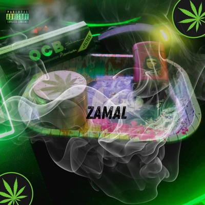 Zamal (feat. Kniar) - Single