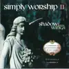Hillsong Worship - Shadow of Your Wings
