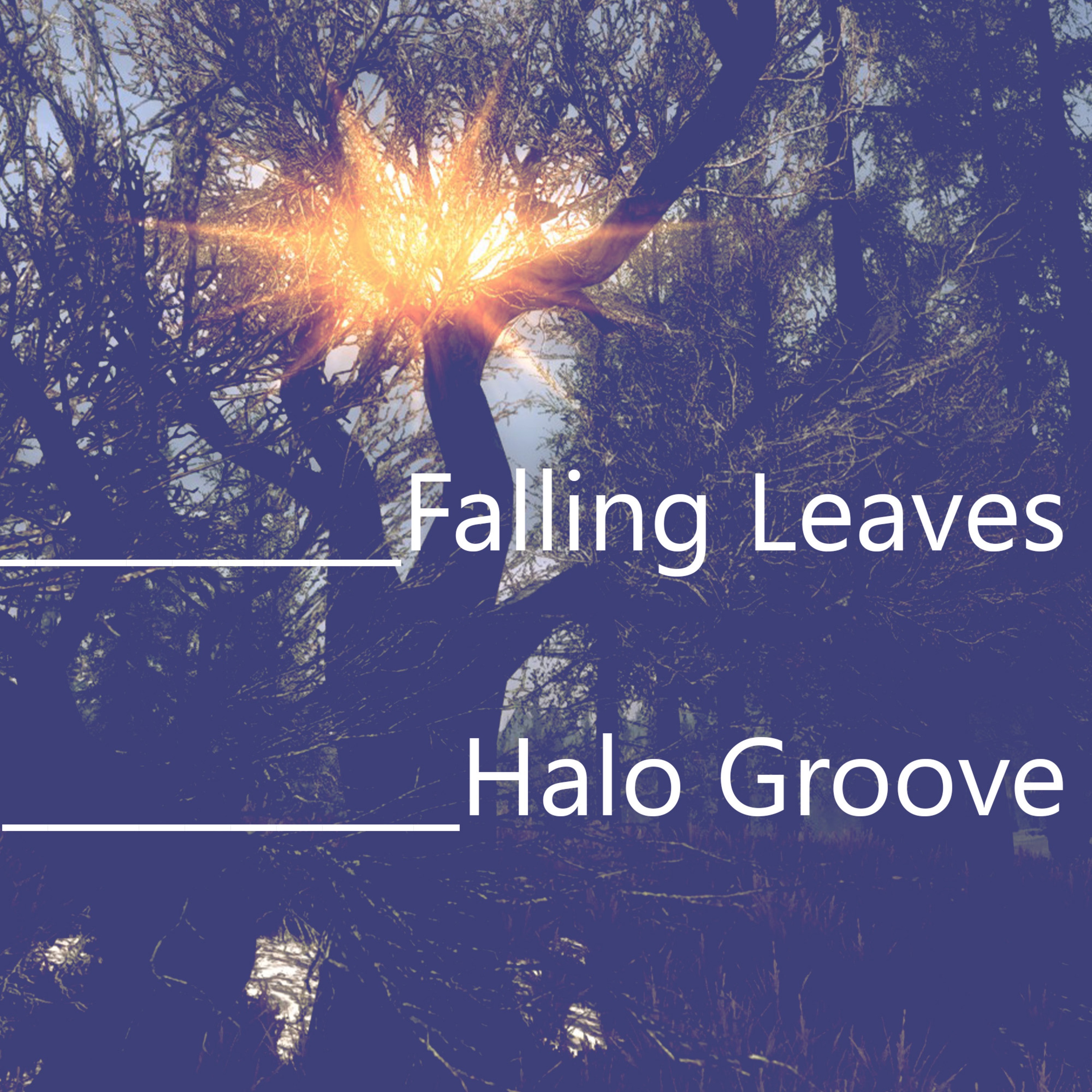 Newforyu - Falling Leaves
