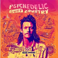 Psychedelic Surf Country - Joel Timmons