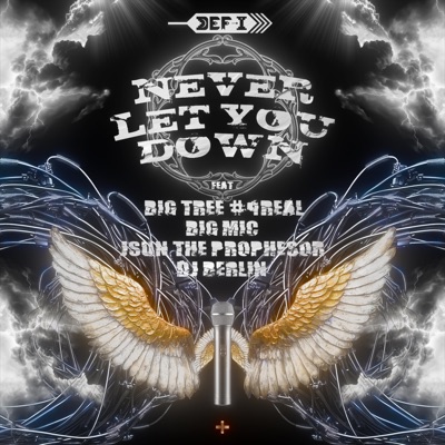 Never Let You Down (feat. Big Tree #4Real, Big Mic, Jsun The Prophesor & DJ Berlin) - Single