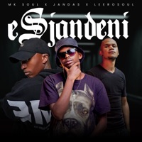 eSjandeni (feat. Jandas & LeeroSoul) - Single - MK Soul