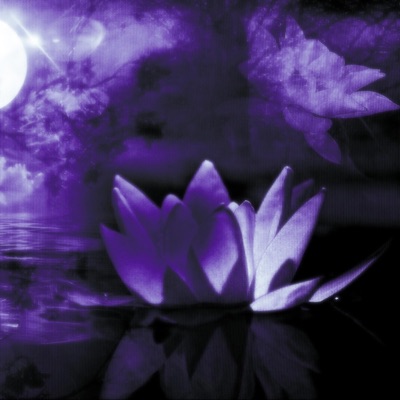 TAYTHG777 (feat. Tay THG) - EP