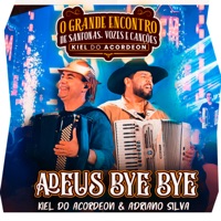 Adeus Bye Bye (O Grande Encontro de Sanfonas, Vozes e Canções) [Ao Vivo] - Single - kiel do Acordeon & Adriano Silva