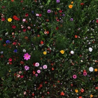 pluggnb tapes - EP - rxi