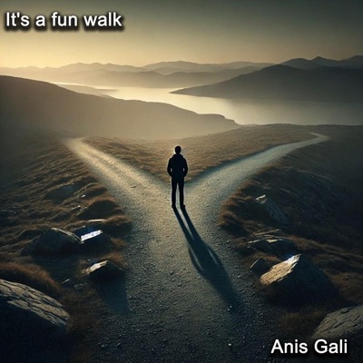 Anis Gali - It's a fun walk