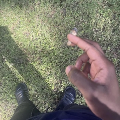In The Spot - Single