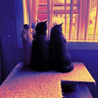 Do I need you - Single - Hero