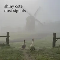Six Legs — Shiny Cote
