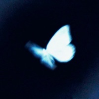 Translate My Heart - Single - JOINTMANE