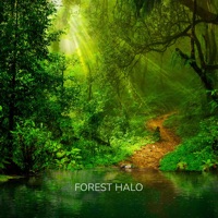 Green Valley - Forest Halo