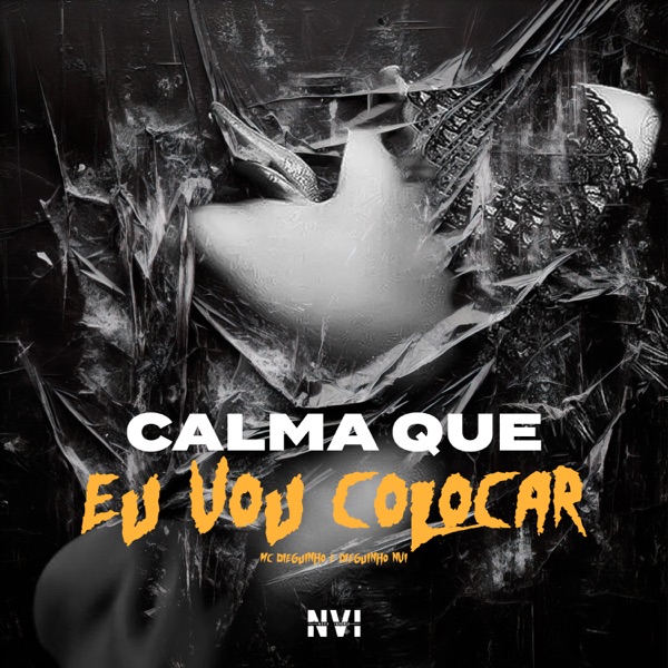 Calma Que Eu Vou Colocar