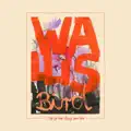 Wallis Bird