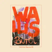 Wallis Bird — Hold tight!