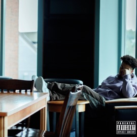 on lock ChoSoLovely & chase salvia