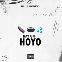 Hay un hoyo - Single - bluemoney