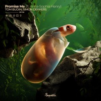 Promise Me - Single - Tom Budin, Simon Dekkers & Anna-Sophia Henry